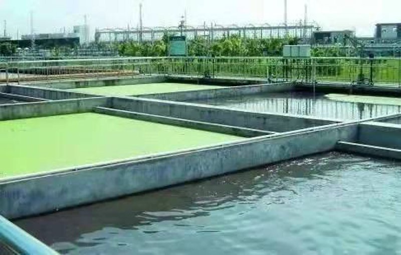 污水处理行业动态：精准施策与技术革新